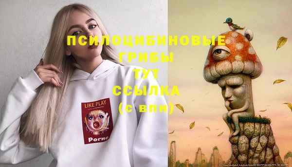 ALPHA-PVP Козловка